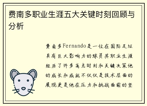 费南多职业生涯五大关键时刻回顾与分析