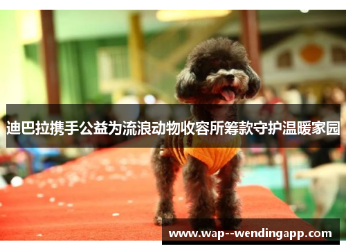 迪巴拉携手公益为流浪动物收容所筹款守护温暖家园