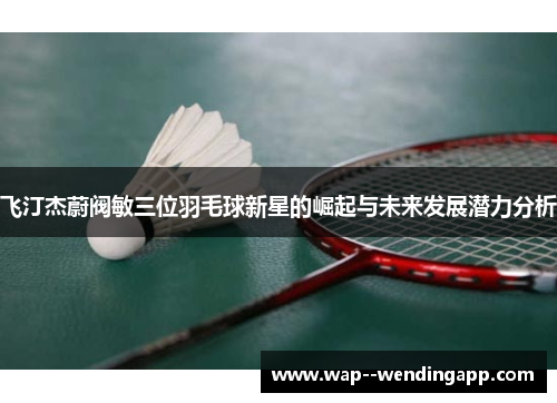 飞汀杰蔚阀敏三位羽毛球新星的崛起与未来发展潜力分析 飞汀杰蔚阀敏三位羽毛球新星的崛起与未来发展潜力分析