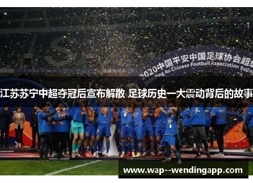 江苏苏宁中超夺冠后宣布解散 足球历史一大震动背后的故事 江苏苏宁中超夺冠后宣布解散 足球历史一大震动背后的故事