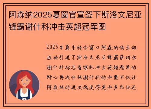 阿森纳2025夏窗官宣签下斯洛文尼亚锋霸谢什科冲击英超冠军图